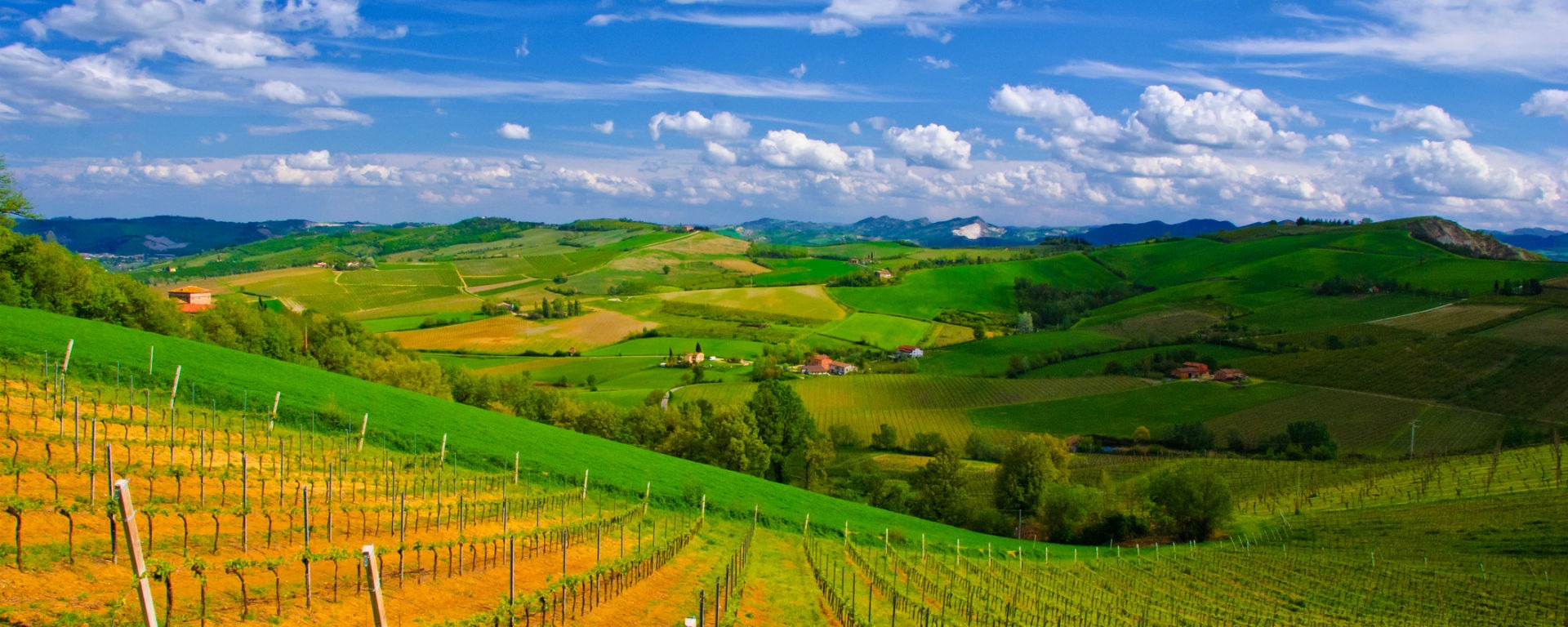Colli bolognesi in tour: fuga romantica tra borghi medievali