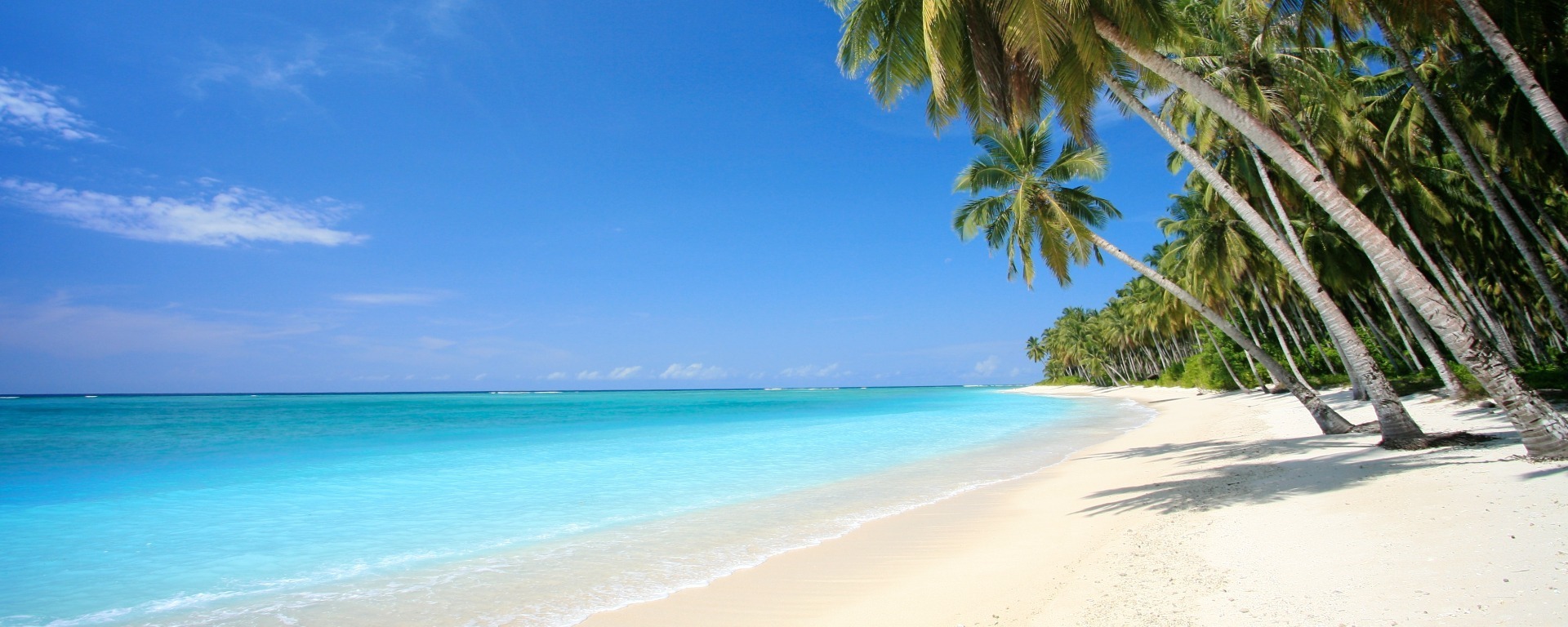 Caraibi da sogno: alla scoperta delle isole più belle