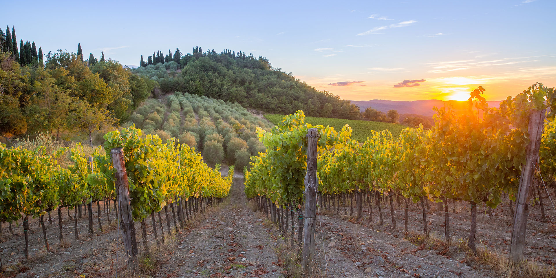 Chianti, le vie del vino